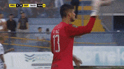 GIF by TD Más