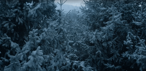 game of thrones GIF