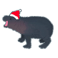 hippo penelope Sticker by Toronto Zoo