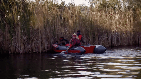 fox tv GIF by American Grit