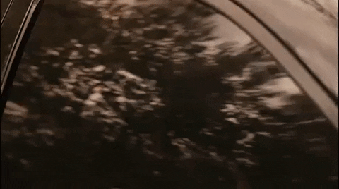 deepanjandutta giphyupload better call saul lalo salamanca tony dalton GIF