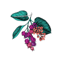 Iced Tea Vodka Sticker by LBDistillers