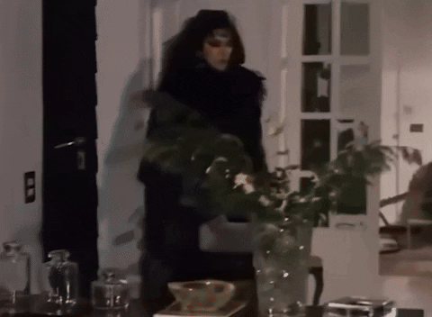 furglamor giphyupload fur fur coat furglamor GIF