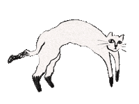 Bad Cat Sticker