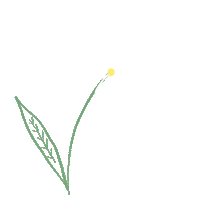 Flor Margarita Sticker