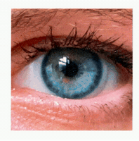 GIF by nik arthur
