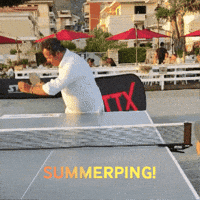 PINGWINGS ping pong pingpong tabletennis good fellas GIF