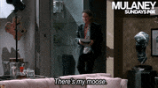 mulaney GIF by Fox TV