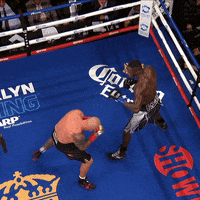 premier-boxing-champions knockout boxing pbc heavyweight GIF