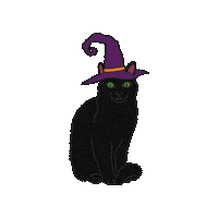 Cat Party Sticker by wwwe GmbH