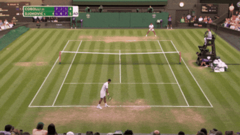 Novak Djokovic drop shot Wimbledon 2025