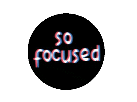 So Focused Sticker by realdogbox