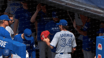 Blue Jays Baseball GIF by Toronto Blue Jays