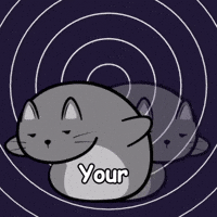 Tired Cat GIF by MESA My Emotional Support Animal