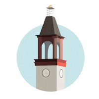 fun college Sticker by Quinnipiac University