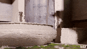 Now You See Me Running GIF by Halo