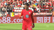 football good job GIF by VfL Wolfsburg