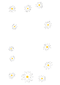 Flowers Frame Sticker