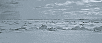 Canadian Running GIF by CanFilmDay
