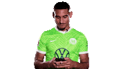 Football Sport Sticker by VfL Wolfsburg