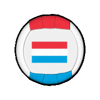 Ball Europe Sticker by Swiss Dodgeball