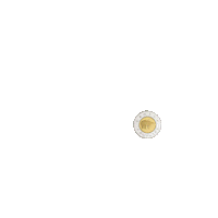 Toonie Sticker by CGP Spotlight