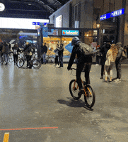 schimmelvelo criticalmass trialbike schimmelvelo zürichhb GIF