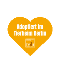 TierheimBerlin tierheim tierheim berlin tierheimberlin tierschutz berlin Sticker