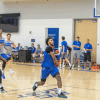 gojays gojays davion mintz GIF