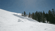 Flip Wow GIF by Outside TV