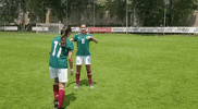baile selecciÃ³n mexicana GIF by MiSelecciónMX