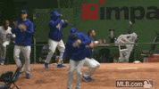 Chicago Cubs GIF by MLB