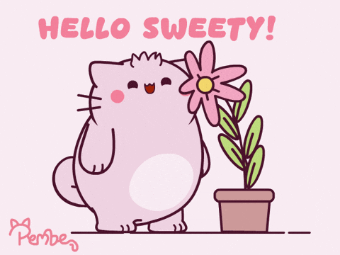 Cat Hello GIF by Pembe