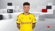 Football Yes GIF by Bundesliga