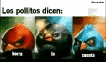Delete Your Account Los Pollitos Dicen GIF