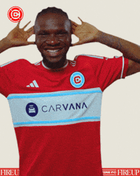 Happy Chicago Fire GIF by Chicago Fire Football Club