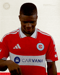 Happy Chicago Fire GIF by Chicago Fire Football Club