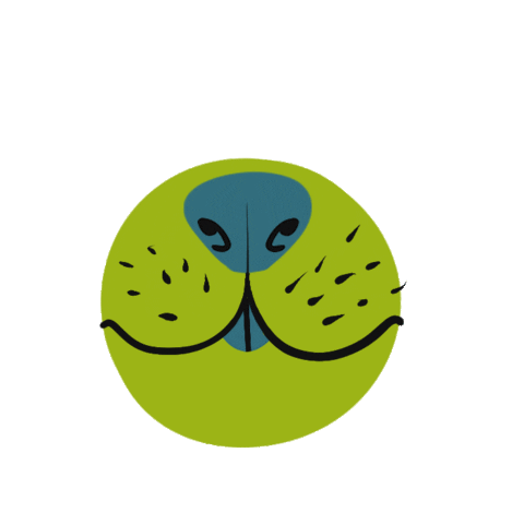 adivaap giphyupload nose bulafabula Sticker