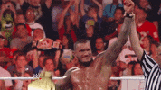 wwe sports wwe wrestling 2011 GIF