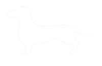Sausage Dog Sticker