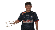 Rb Leipzig Hello Sticker by Bundesliga