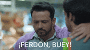 Lo Siento Amazon Studios GIF by Prime Video Comedy