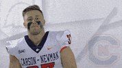 Carson Newman Football GIF by Carson-Newman Athletics