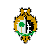 sport spain Sticker by Rugby El Salvador