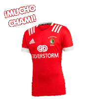 Sport Spain Sticker by Rugby El Salvador