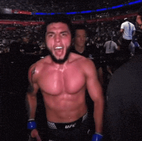 Ufc GIF