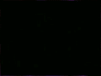 MFDtheArtist houston GIF