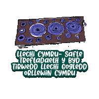 Bro Plenydd Sticker