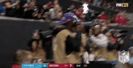 carolina panthers football GIF by NFL