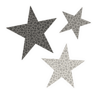 Leopard Print Star Sticker